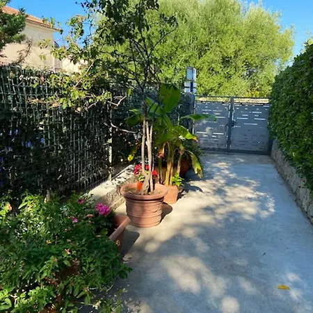 Charming House In Marina Di + Garden Holiday home Camerota